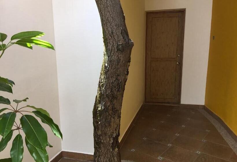 Bed and Breakfast Casa Cielo