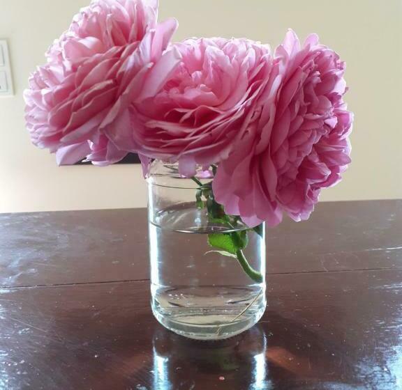 צימר Fleur De Senon