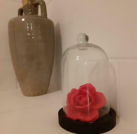 Bed and Breakfast Fleur De Senon