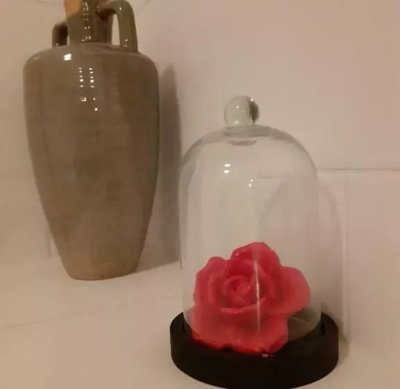 Bed and Breakfast Fleur De Senon
