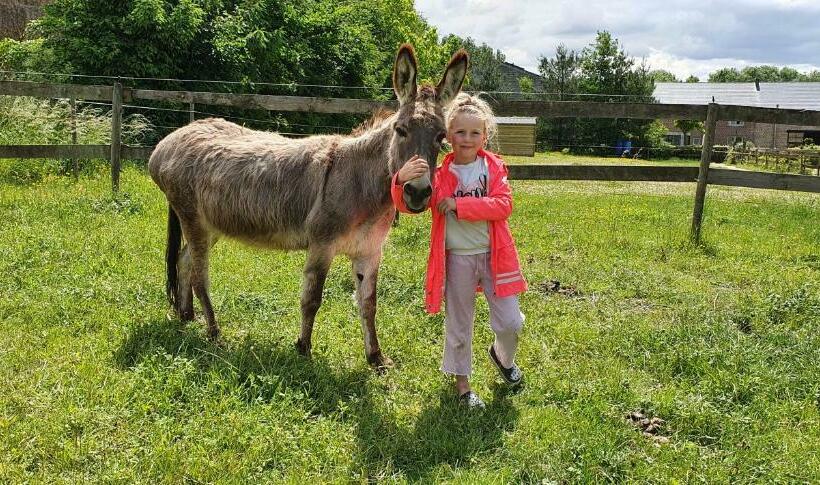Bed and Breakfast Guesthouse Biolleke