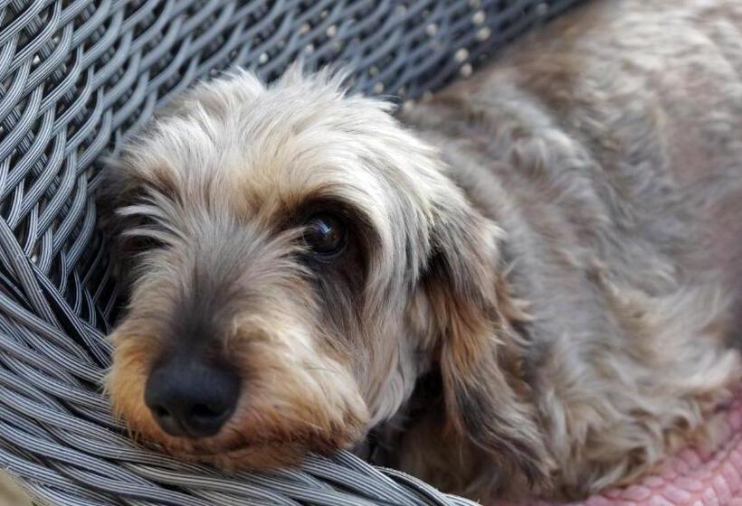 Bed and Breakfast Guesthouse Biolleke