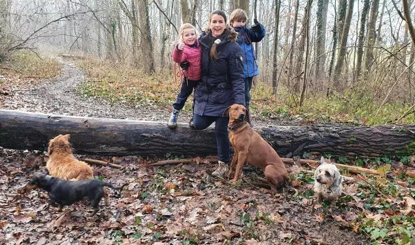 Aamiaismajoitus (B&B) Guesthouse Biolleke