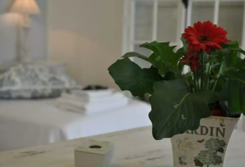 Aamiaismajoitus (B&B) Le Stanze Di Rebecca