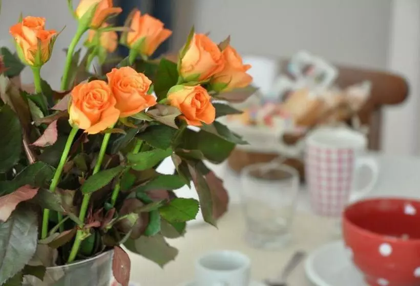 Aamiaismajoitus (B&B) Le Stanze Di Rebecca