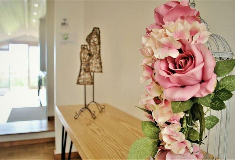 ペンション 374 Ck Seaside Guest House