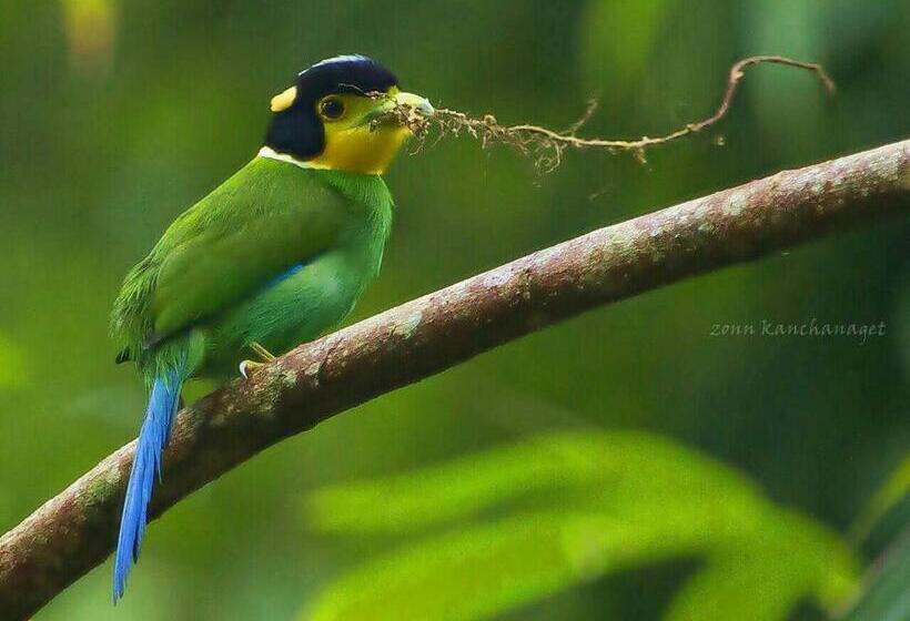 リゾートホテル Kum Nangpaya