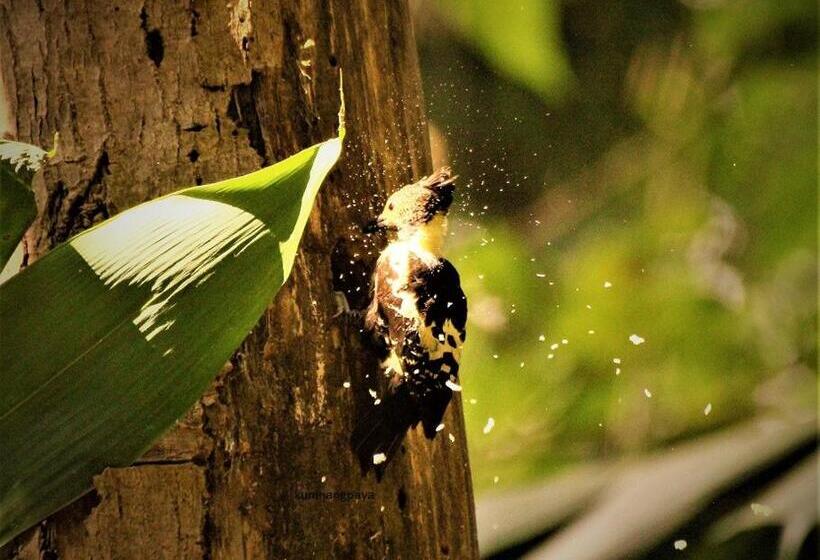 リゾートホテル Kum Nangpaya