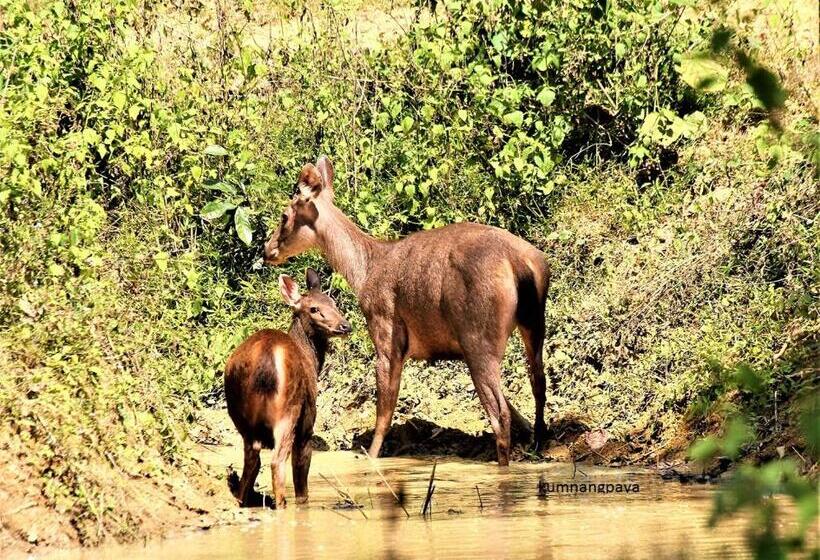 リゾートホテル Kum Nangpaya