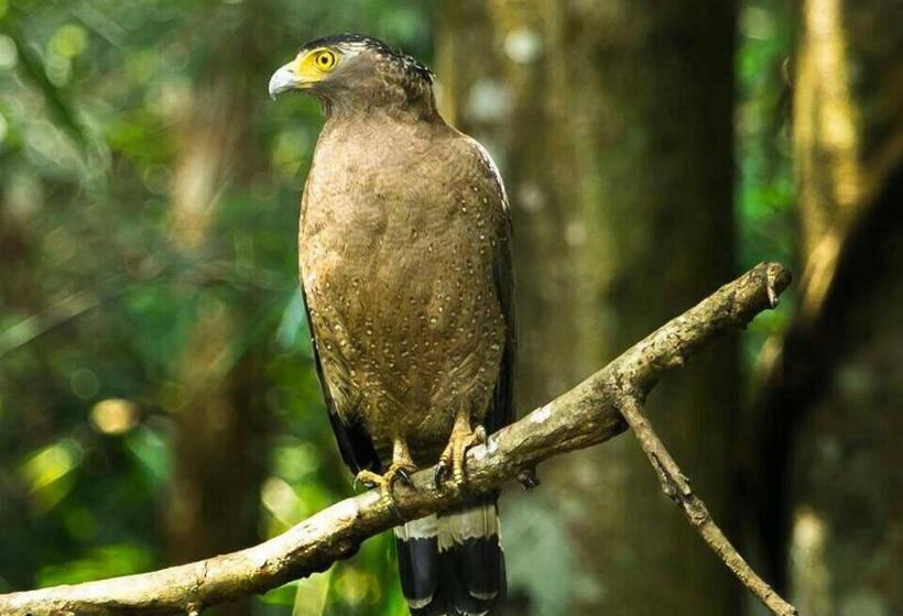 リゾートホテル Kum Nangpaya