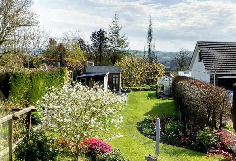 The White Cottage B&b