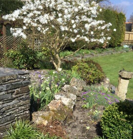 The White Cottage B&b