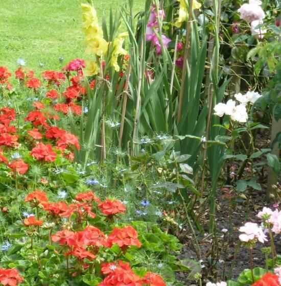 The White Cottage B&b