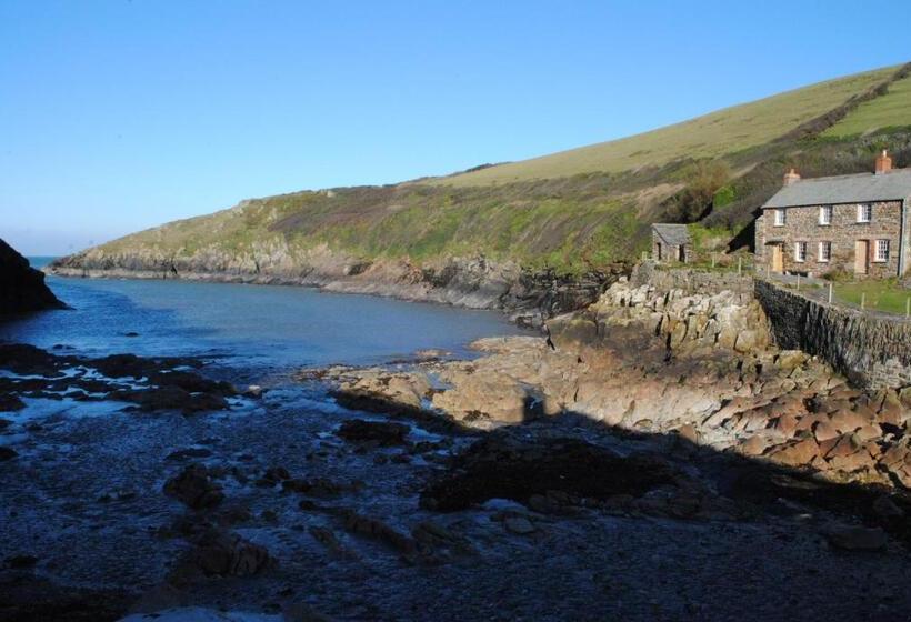 The White Cottage B&b