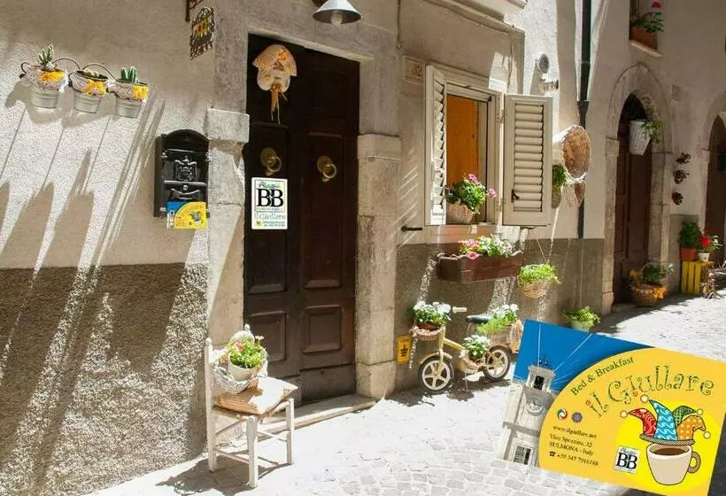 B&b Il Giullare