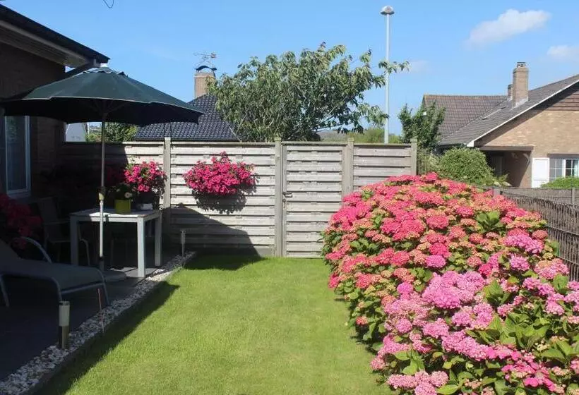 B&b Vanloo