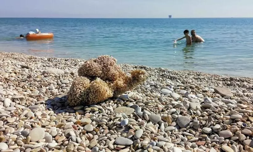 B&b Villino Giovanna