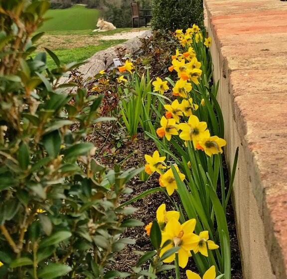 צימר Casale Delle Rondini