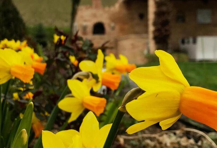 צימר Casale Delle Rondini