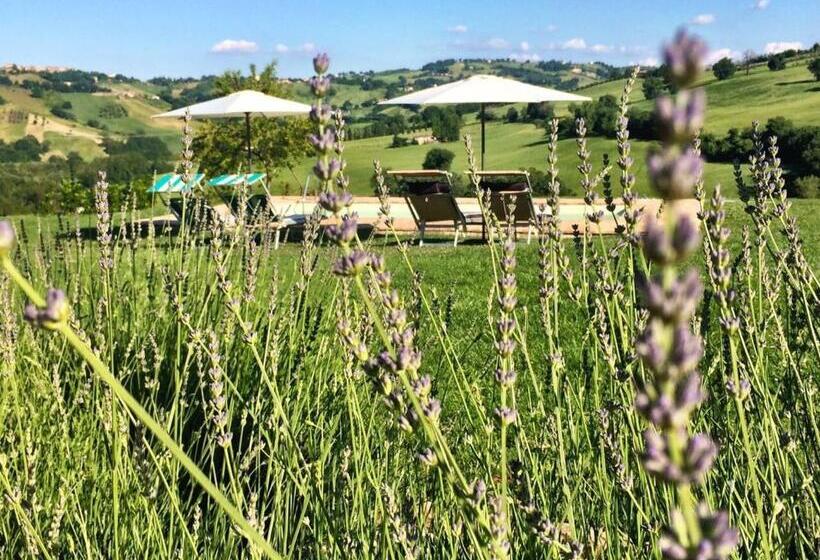 צימר Casale Delle Rondini