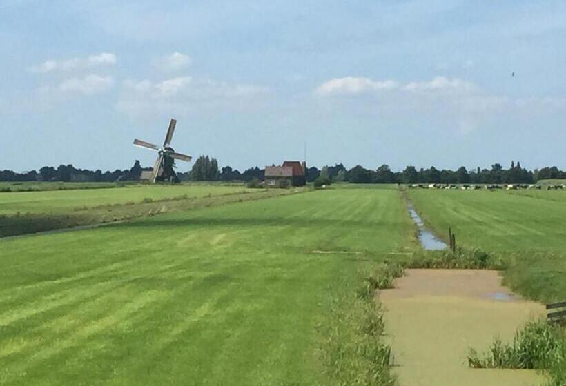 Bed and Breakfast Droomgaerd