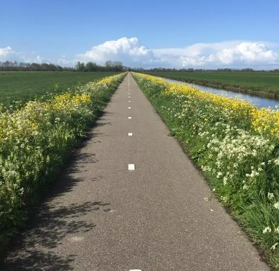 Aamiaismajoitus (B&B) Droomgaerd