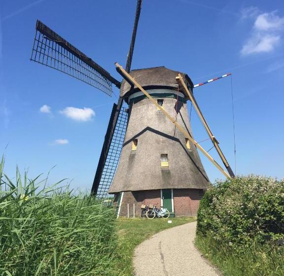 Bed and Breakfast Droomgaerd