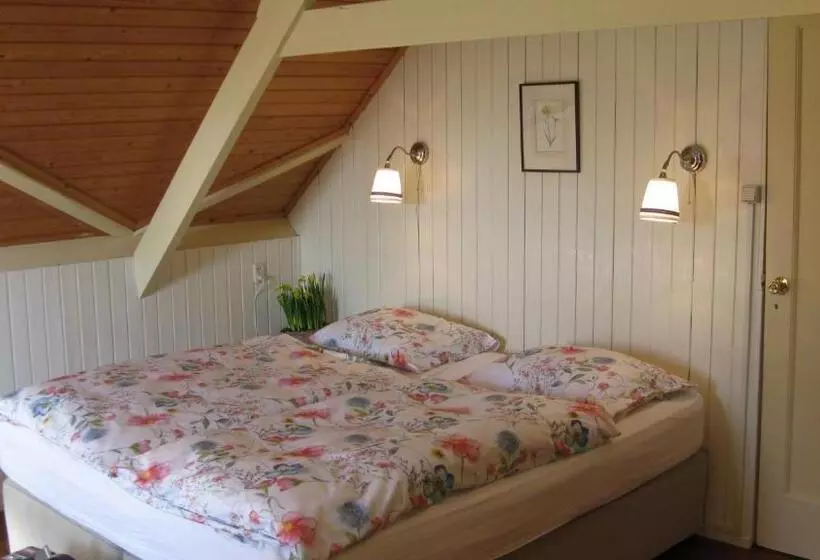 Aamiaismajoitus (B&B) Droomgaerd