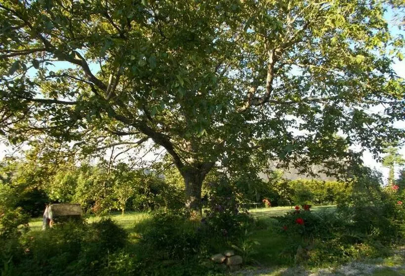 ベッドアンドブレックファースト Le Grand Pont