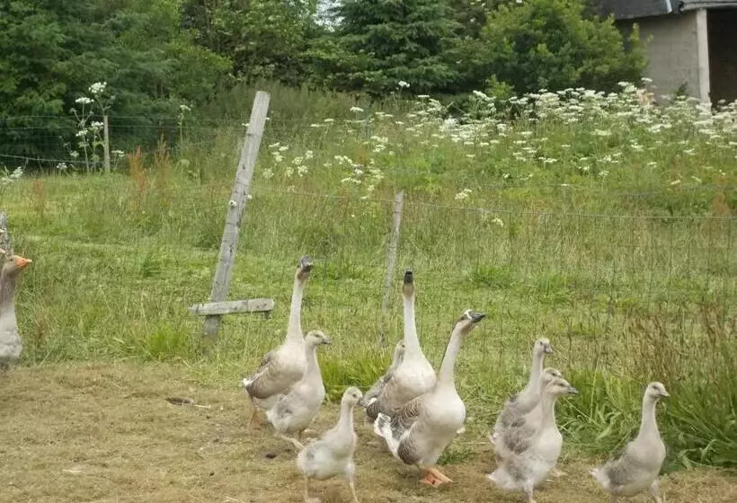 ベッドアンドブレックファースト Le Grand Pont