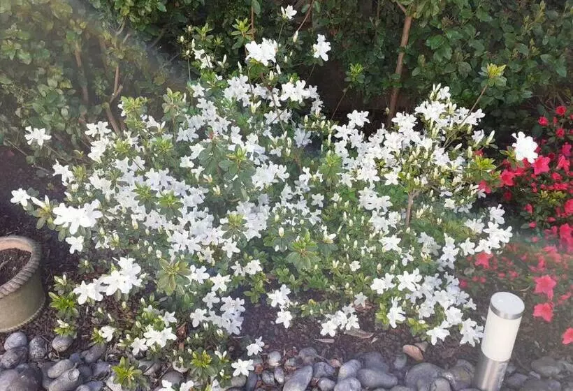 Aamiaismajoitus (B&B) Manoir De L As De Trèfle