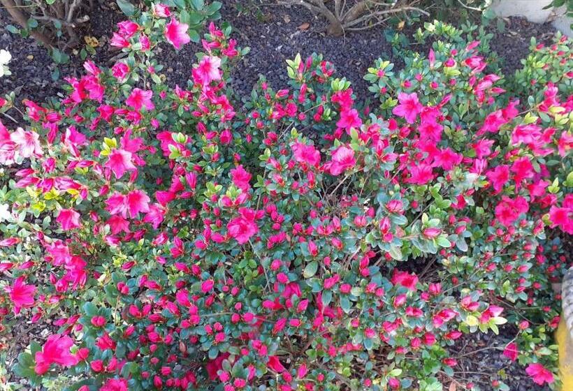 مبيت وإفطار Manoir De L As De Trèfle