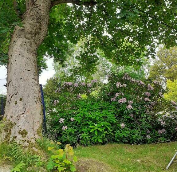 مبيت وإفطار Manoir De L As De Trèfle