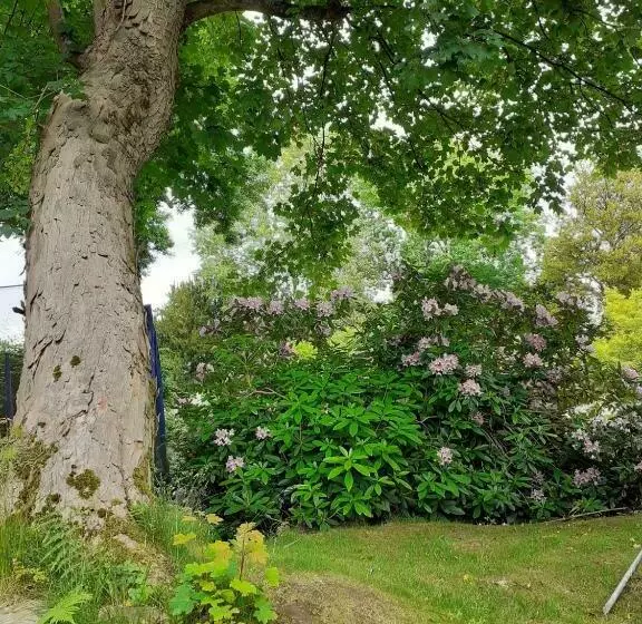 Aamiaismajoitus (B&B) Manoir De L As De Trèfle