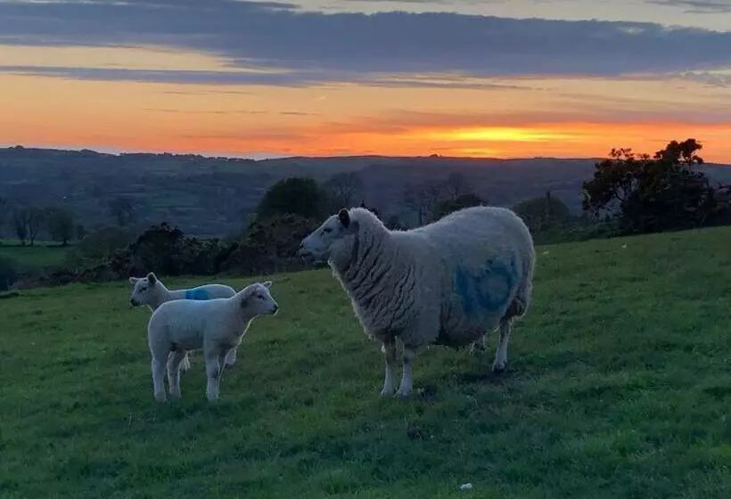 Five Saints Farmhouse B&b