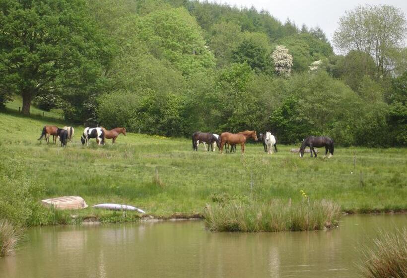 Five Saints Farmhouse B&b