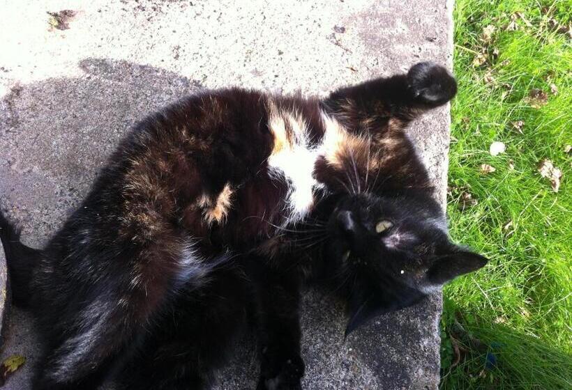 Five Saints Farmhouse B&b