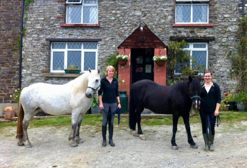 Five Saints Farmhouse B&b