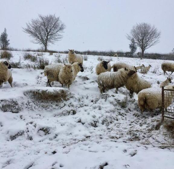 Five Saints Farmhouse B&b