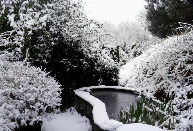 Five Saints Farmhouse B&b