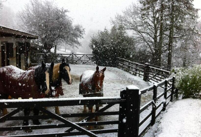 Five Saints Farmhouse B&b