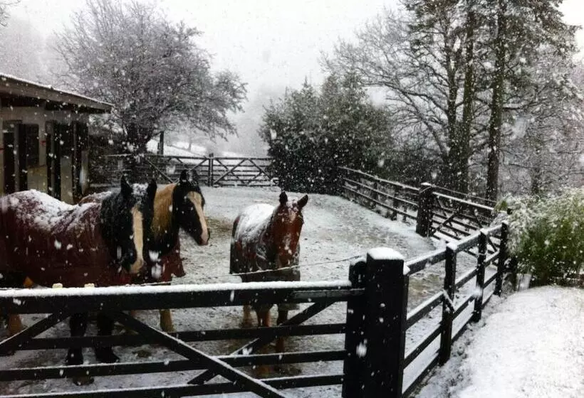 Five Saints Farmhouse B&b