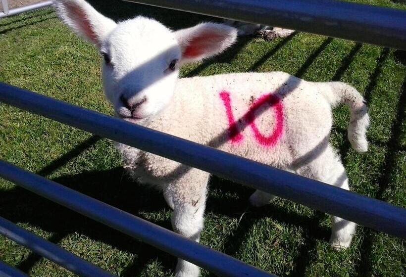 Five Saints Farmhouse B&b