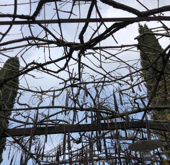 ホテル Agriturismo San Giusto