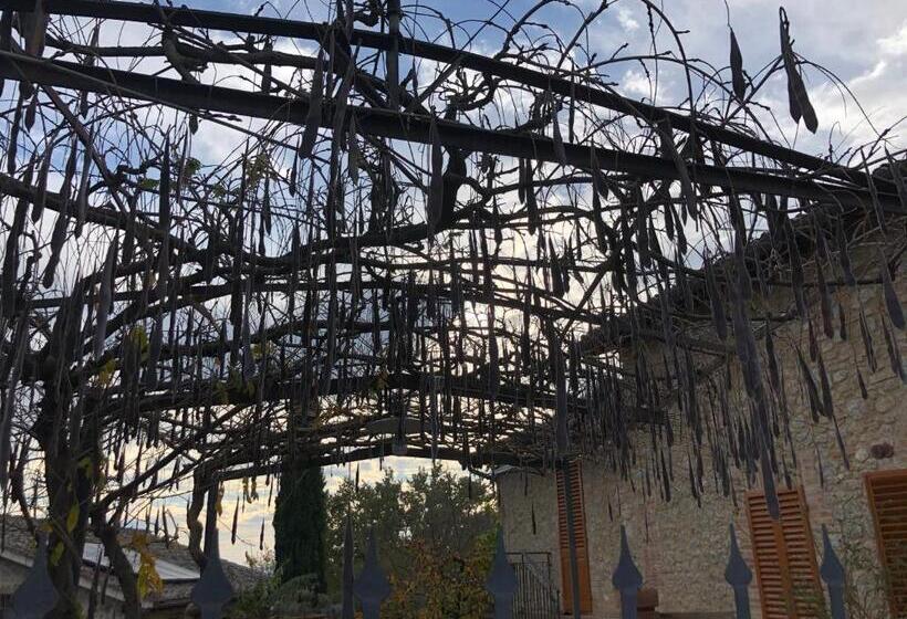 ホテル Agriturismo San Giusto