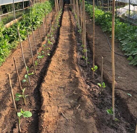 ホテル Agriturismo San Giusto