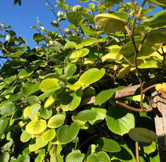 ホテル Agriturismo San Giusto