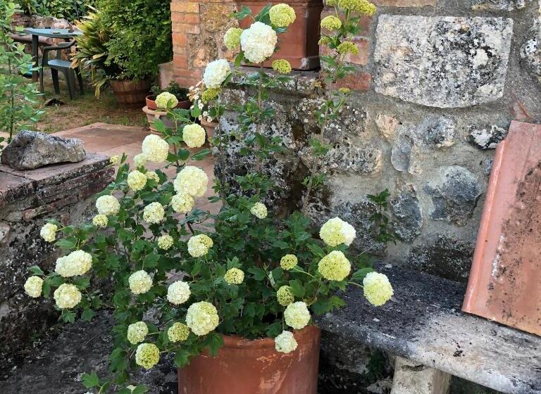 ホテル Agriturismo San Giusto