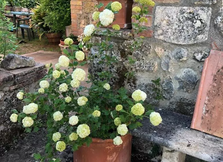 ホテル Agriturismo San Giusto
