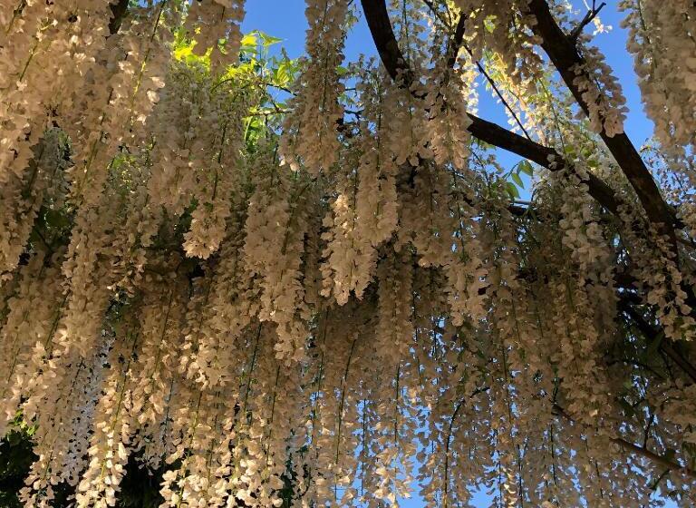 ホテル Agriturismo San Giusto